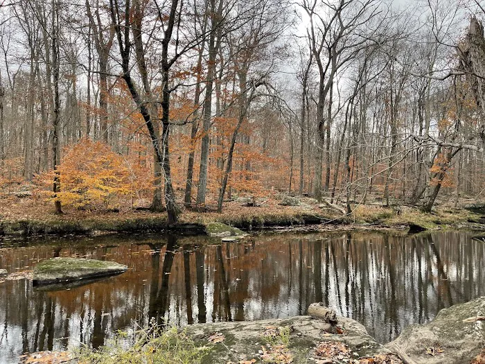 Schnabel's Woods Picture 2