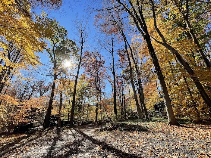 Schnabel's Woods Picture 6