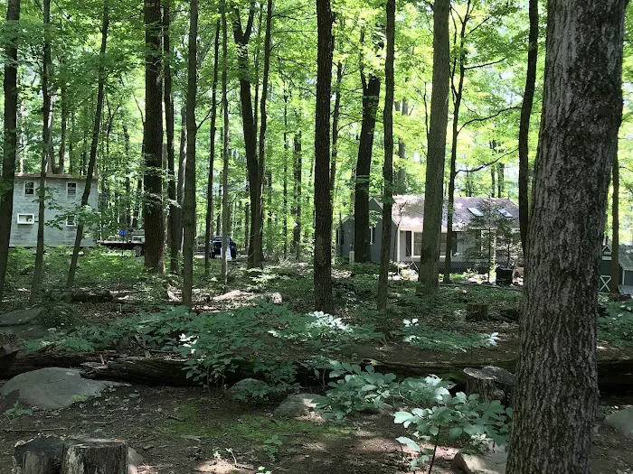 Schnabel's Woods Picture 9