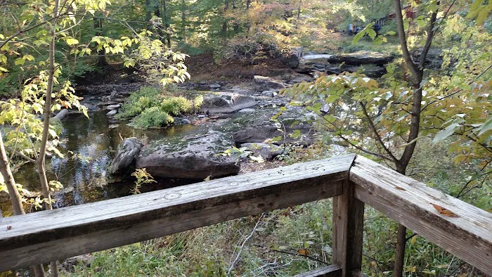Schnabel's Woods Picture 10
