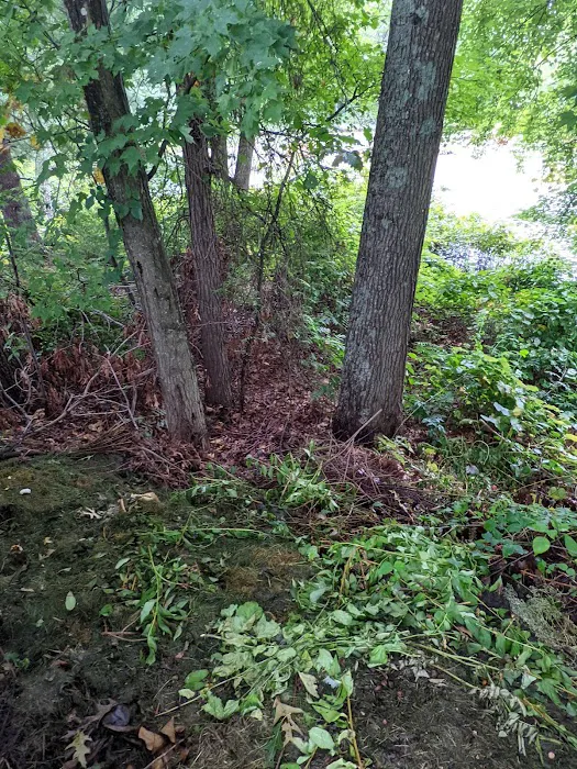 Killarney Estates Picture 9