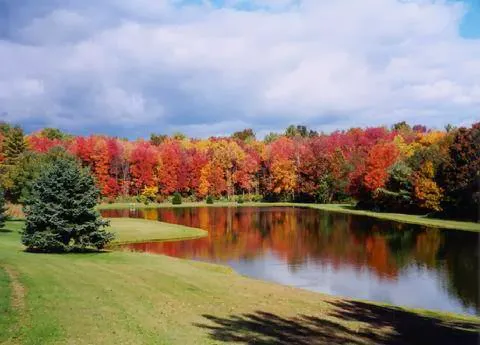 Whispering Pines Camping Estates Picture 3