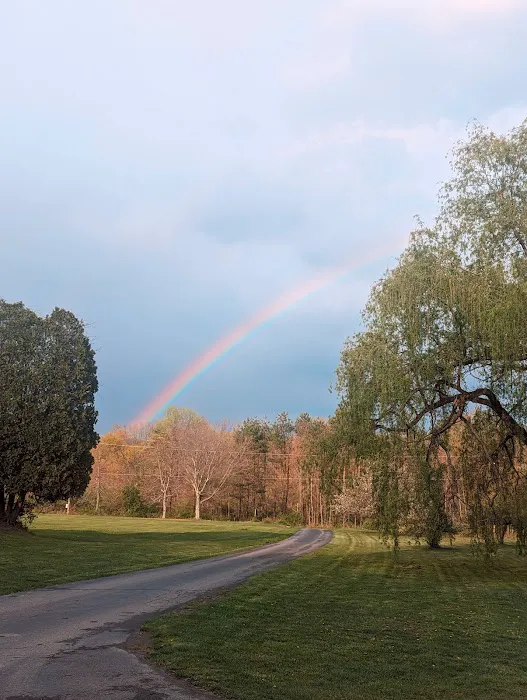 Wanna Ruf It Campground Picture 8
