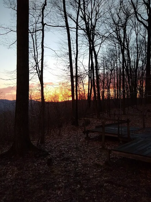 Dellinger Lodge Picture 7