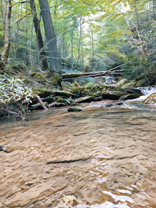 Mill Creek Falls Retreat Center Picture 4