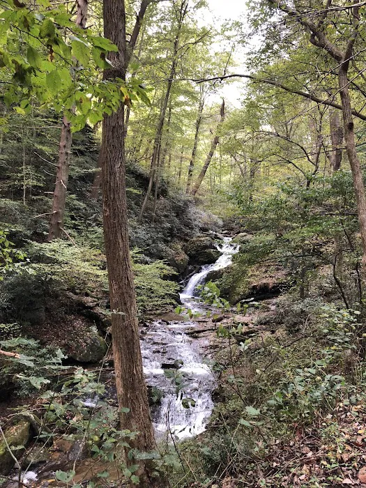 Mill Creek Falls Retreat Center Picture 6