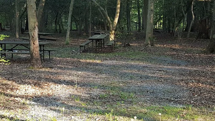 Skipper's Point Campground Picture 4
