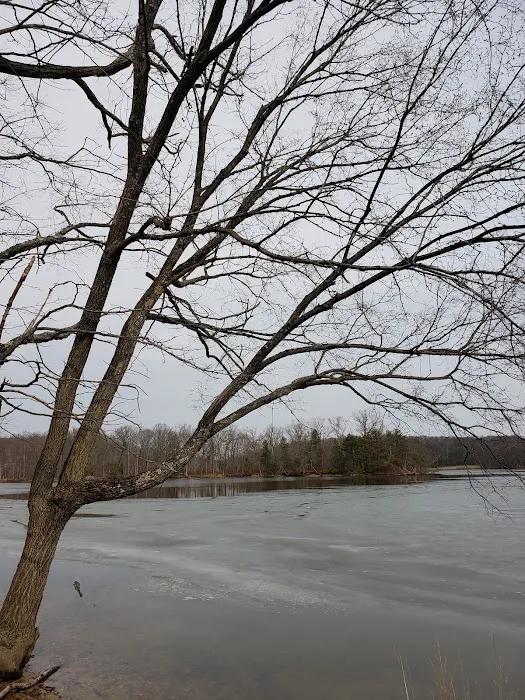 Skipper's Point Campground Picture 6