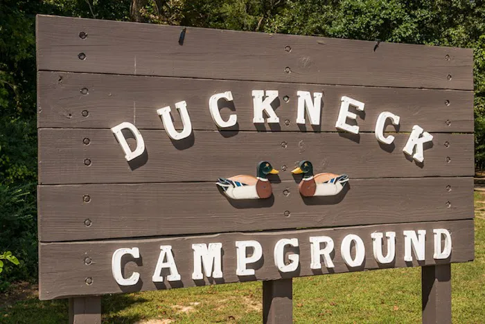Duck Neck Campground Picture 5