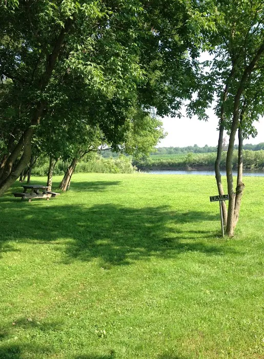 Treasure Isle RV Park Picture 7