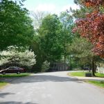 Strawberry Hills