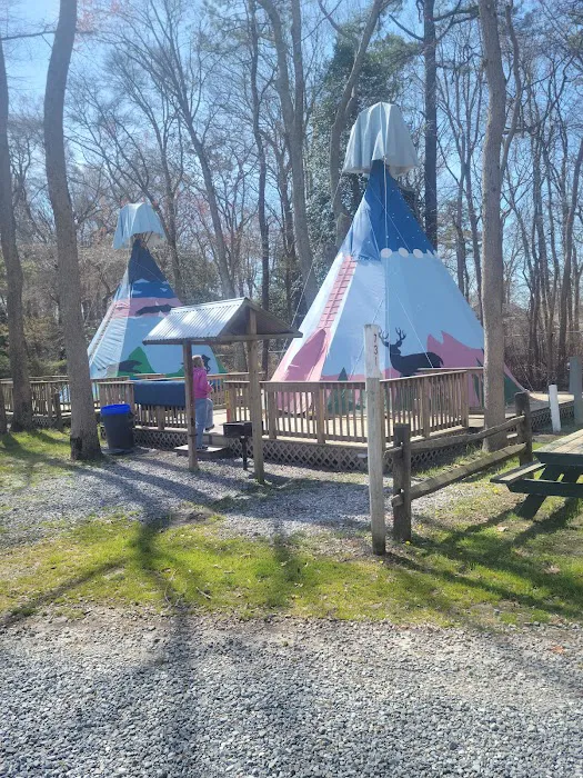 Beachcomber Camping Resort Picture 6