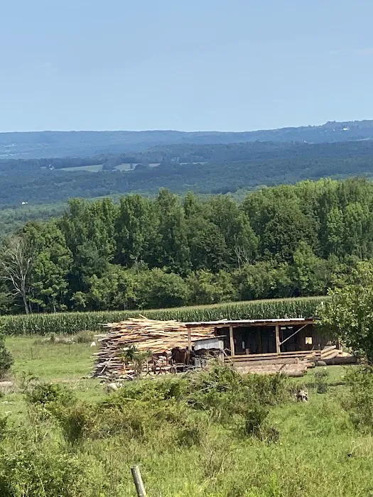 Adirondack Ridge Mobile Home Community Picture 1