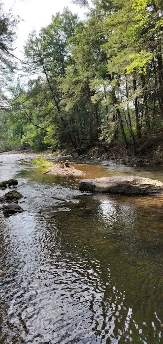 Springbrook Family Campground Picture 5