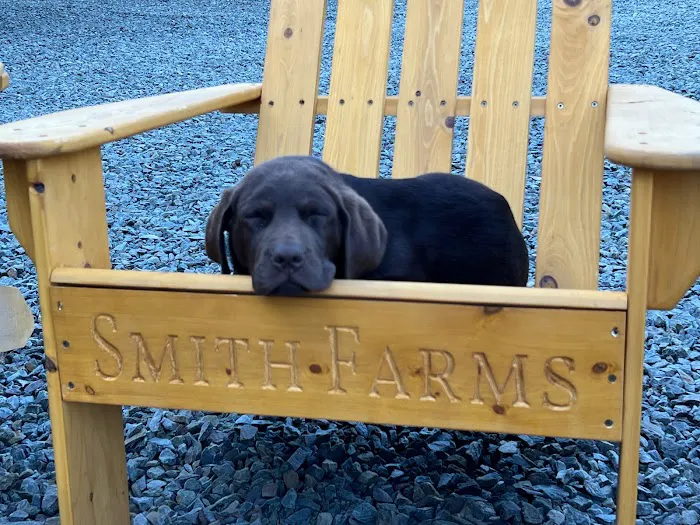 Smith Farms 2 Picture 6