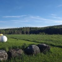 Hidden Hills Country Homes ico
