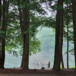 Girl Scout Camp Woodhaven