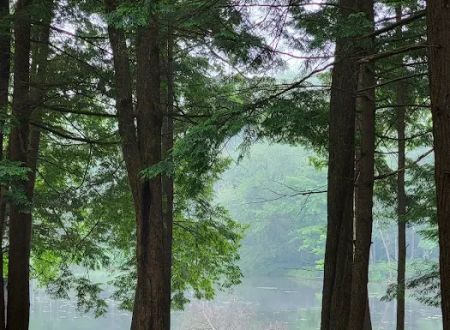 Girl Scout Camp Woodhaven