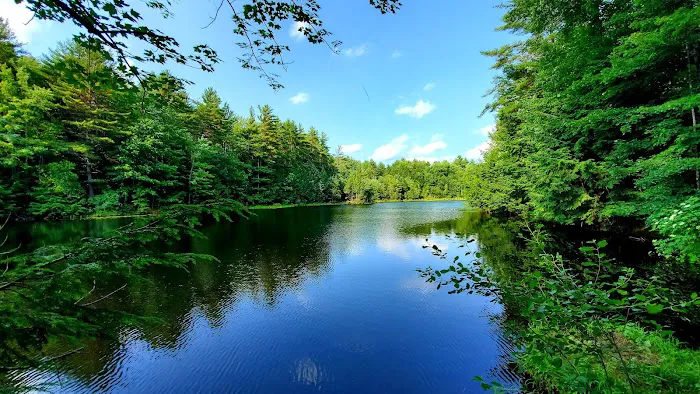 Pop's Lake Campground Picture 2