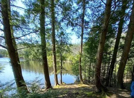 Pop's Lake Campground