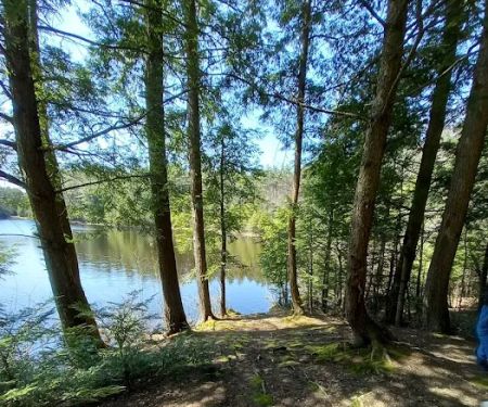 Pop's Lake Campground