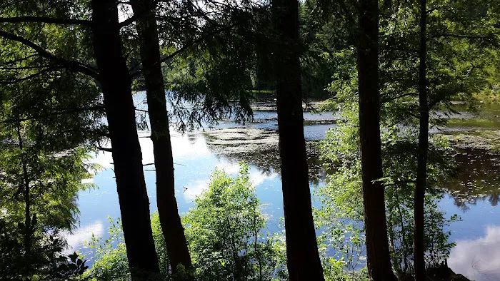 Pop's Lake Campground Picture 8