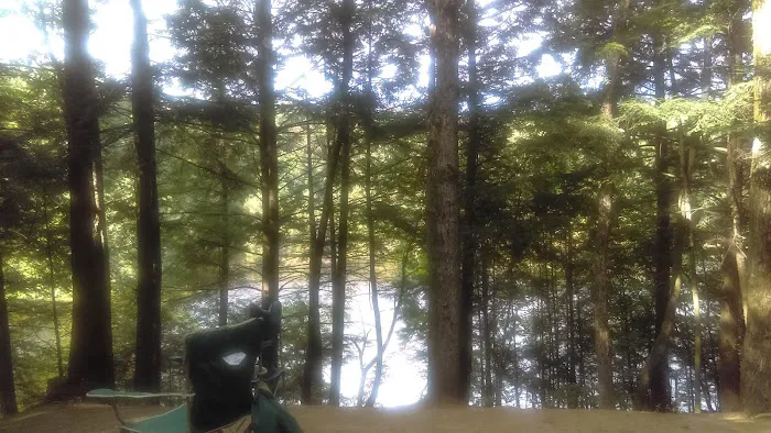 Pop's Lake Campground Picture 10