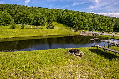 Greenwood Lodge & Campsites Picture 2