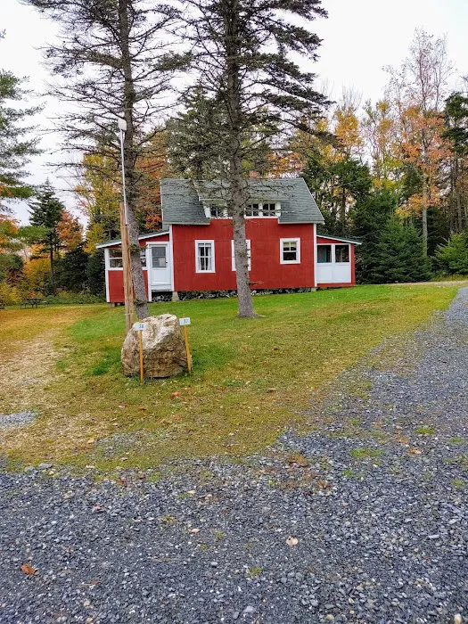 Greenwood Lodge & Campsites Picture 3