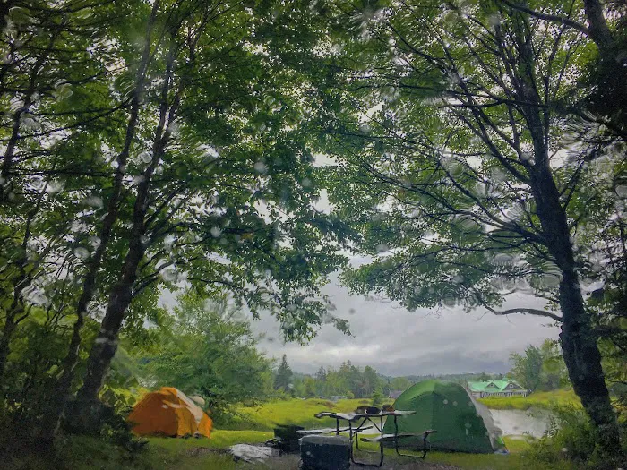 Greenwood Lodge & Campsites Picture 6