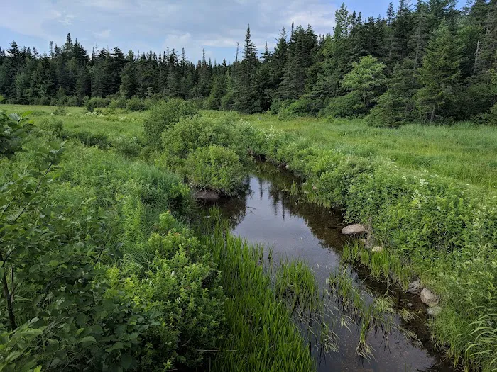 Greenwood Lodge & Campsites Picture 7