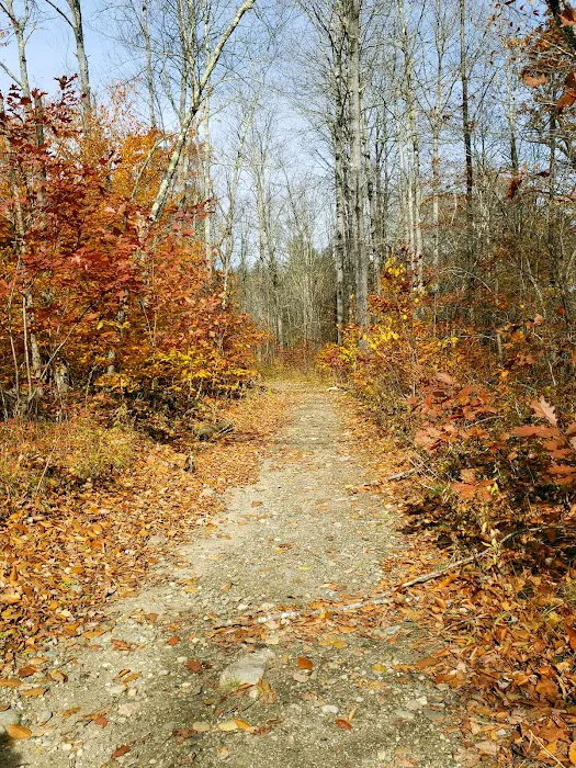 Indian Hollow Campground Picture 5