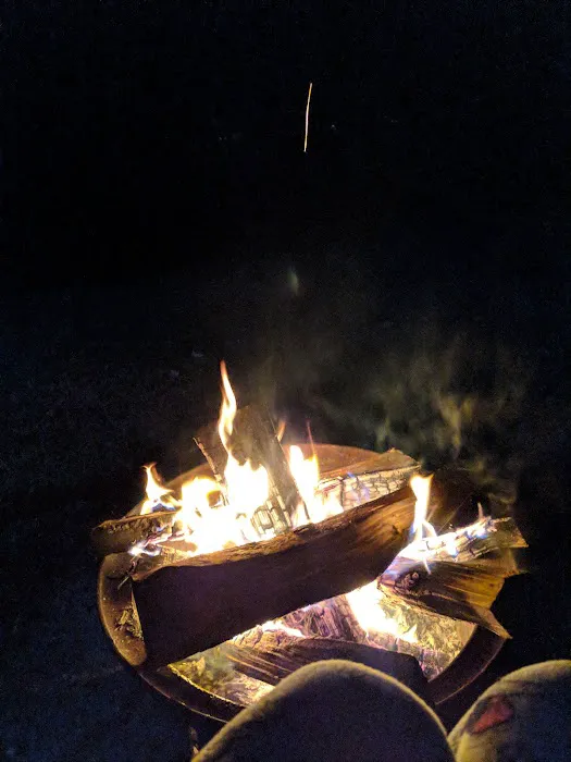 Peppermint Park Camping Resort Picture 5