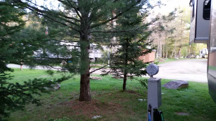 Peppermint Park Camping Resort Picture 9