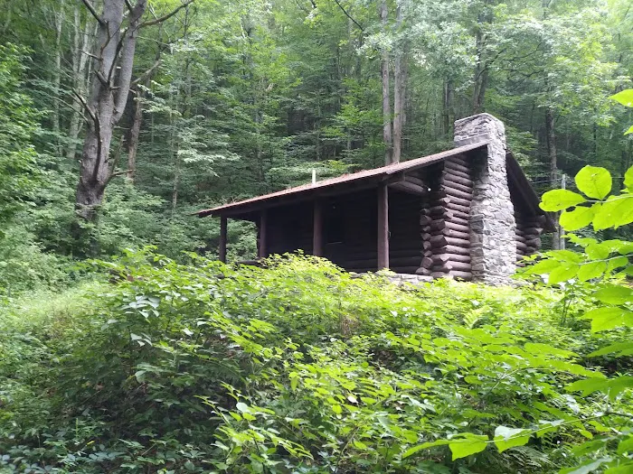 Mohawk Trail Campground HQ Picture 8
