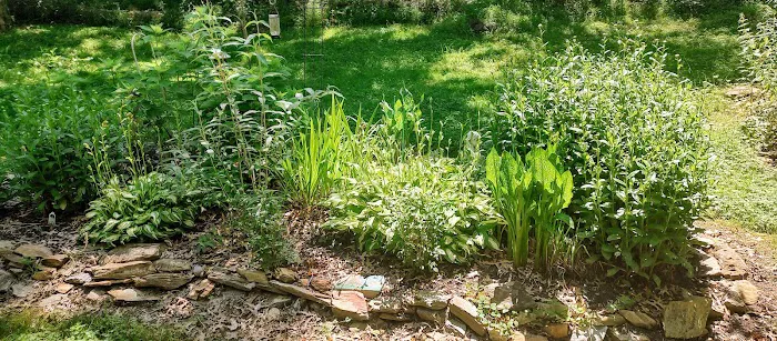 Equine Meadows Condominium Picture 2