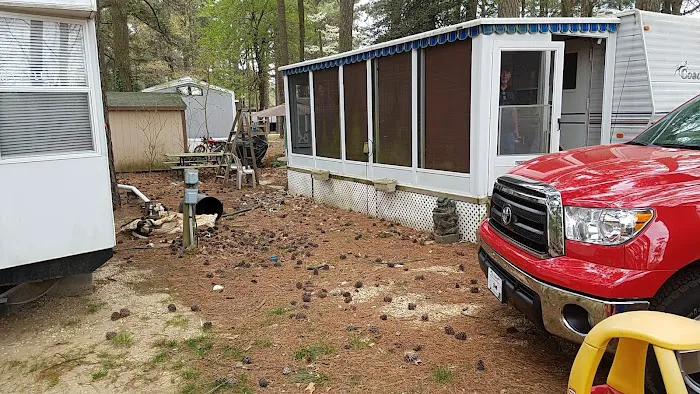 Pine Haven MV Picture 3