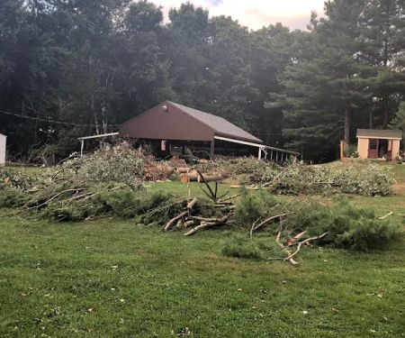 Lake Williams Campground Association, Inc.