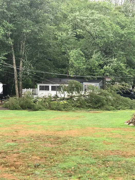 Lake Williams Campground Association, Inc. Picture 6