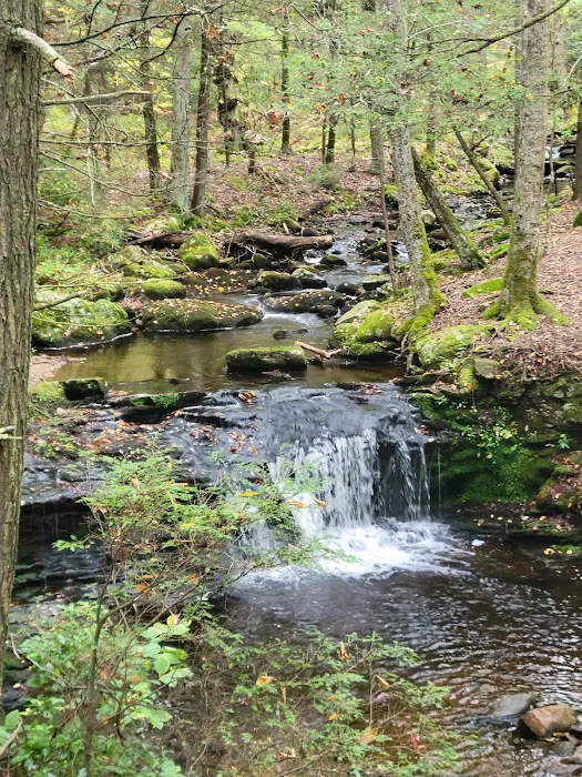 Devil’s Hopyard State Park Campground Picture 3
