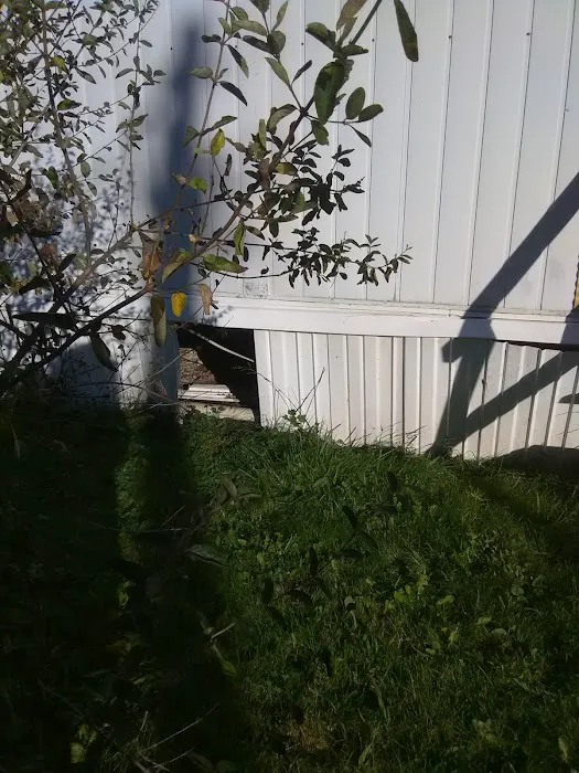 Hanshaw Village Mobile Home Park Picture 7