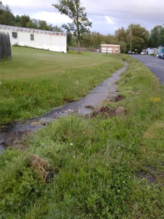 Hanshaw Village Mobile Home Park Picture 8