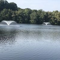 Witch Meadow Lake Campground ico