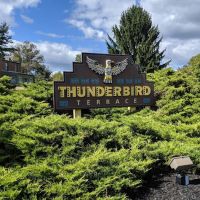Thunderbird Terrace ico
