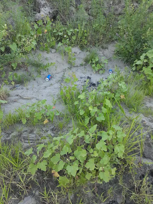 Mitch's Island Picture 1