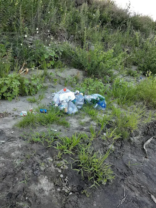 Mitch's Island Picture 2