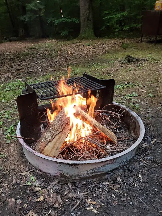 DAR Campgrounds Picture 2
