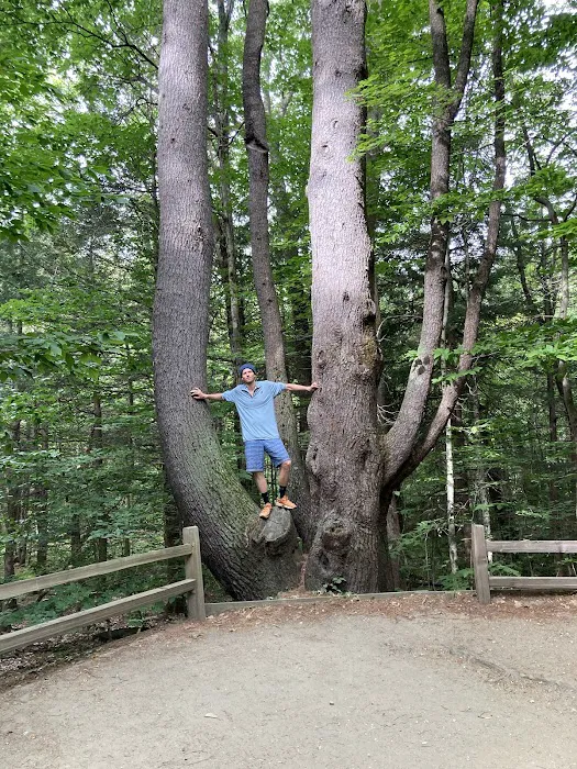 DAR Campgrounds Picture 7