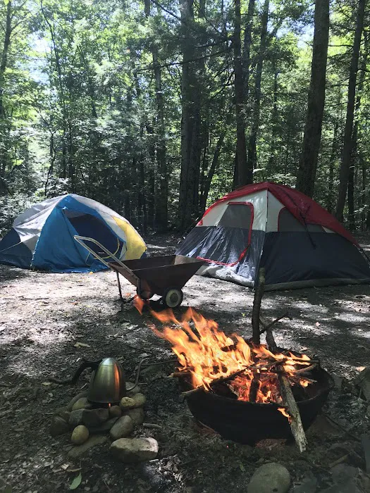 White Birch Campground Picture 4