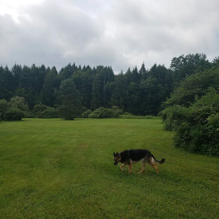 Spruce Creek Campground Picture 2